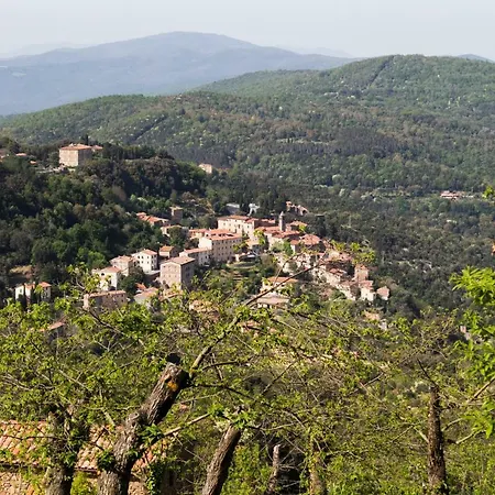Le Dame Del Borgo Sassetta