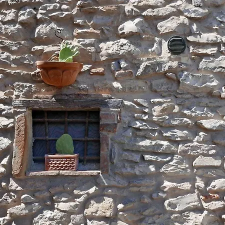 Apartment Le Dame Del Borgo Sassetta